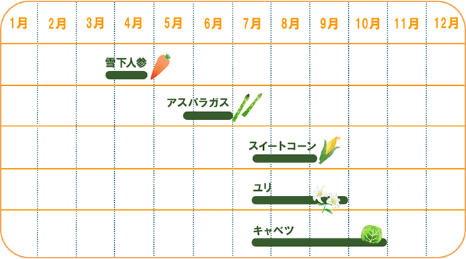 1行目、雪下人参、3月下旬から4月下旬。2行目、アスパラガス、5月下旬から6月下旬。3行目、スイートコーン、7月中旬から9月上旬。4行目、ユリ、7月中旬から9月下旬。5行目、キャベツ、7月中旬から10月下旬