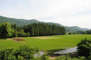 本ノ木遺跡全景