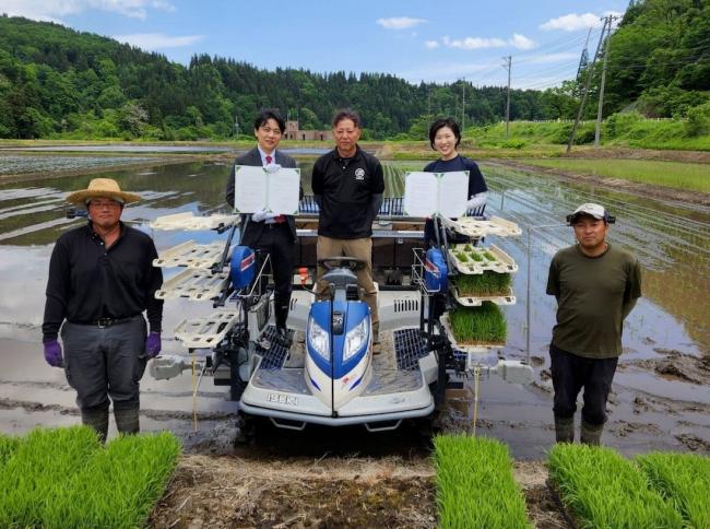 田植え体験