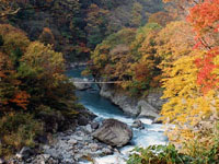 見倉橋の紅葉写真です